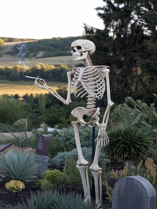 Title details for Deja de FUMAR en 10 días  GARANTIZADO by Patricio Izquierdo Aguilar - Available